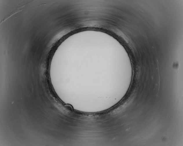 X0000101670922200808071041