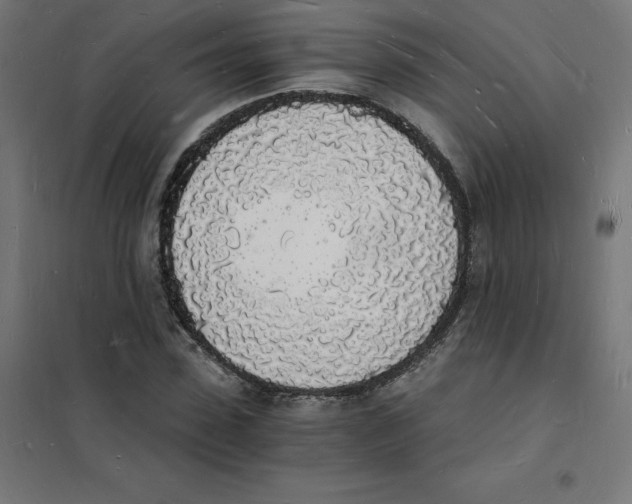 X0000101670923200808071041