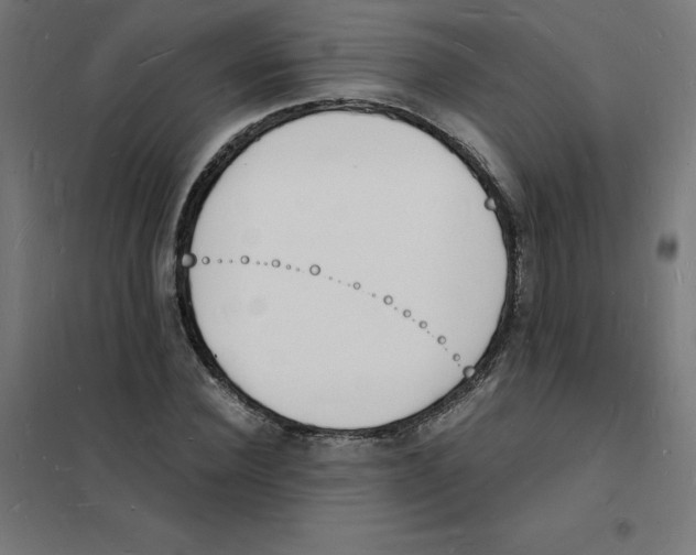 X0000101670924200808071041