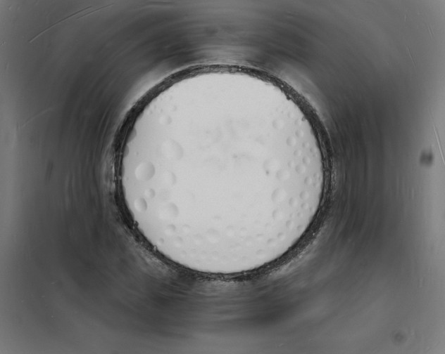 X0000101670925200808071041