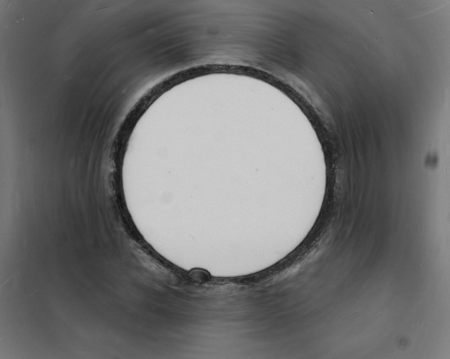 X0000101670926200808071041