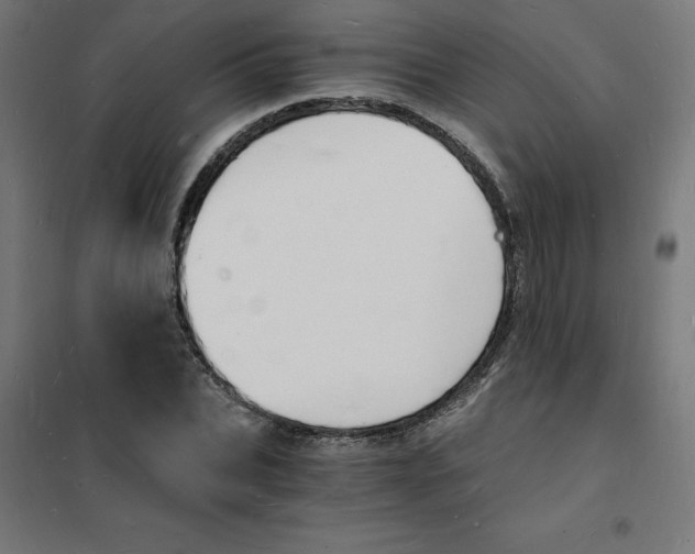 X0000101670927200808071041