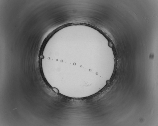 X0000101670928200808071041