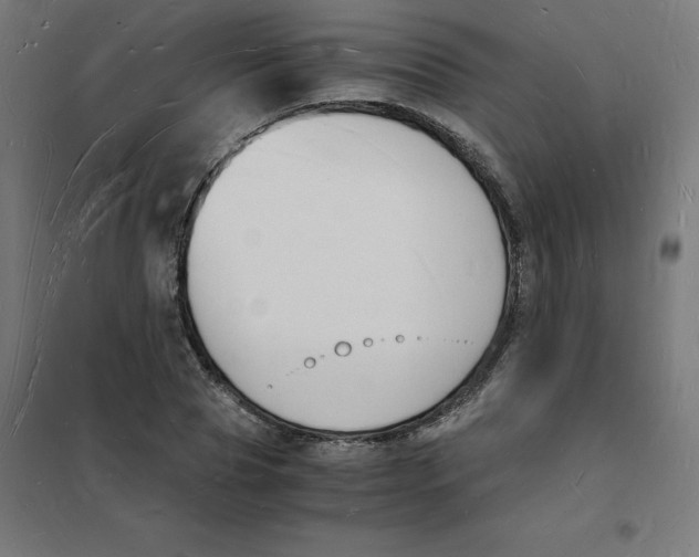 X0000101670929200808071041
