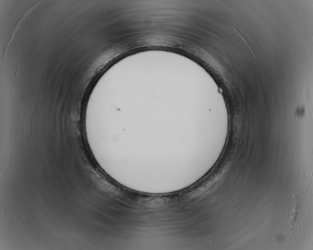 X0000101670930200808071041