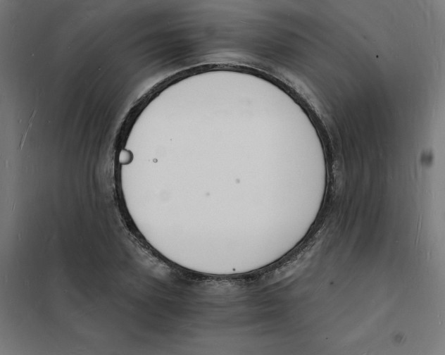 X0000101670931200808071041