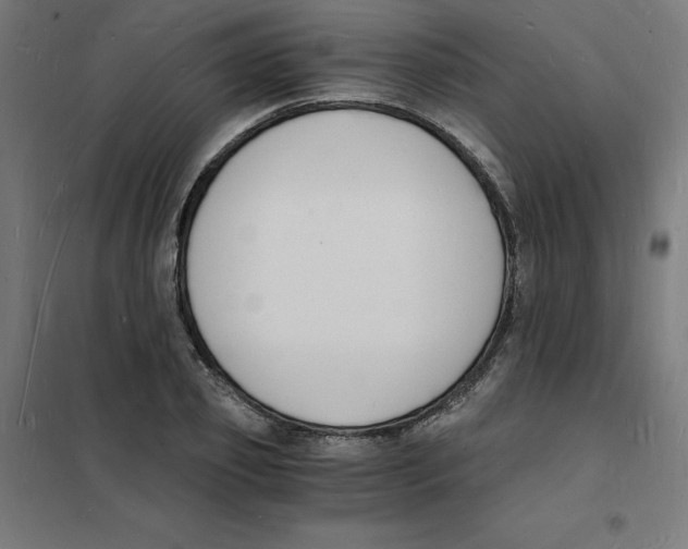 X0000101670933200808071041