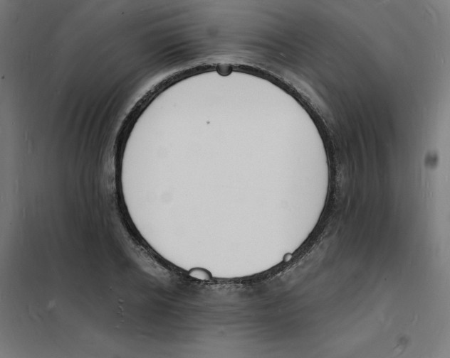 X0000101670934200808071041