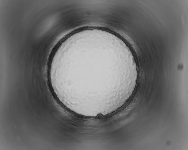 X0000101670935200808071041