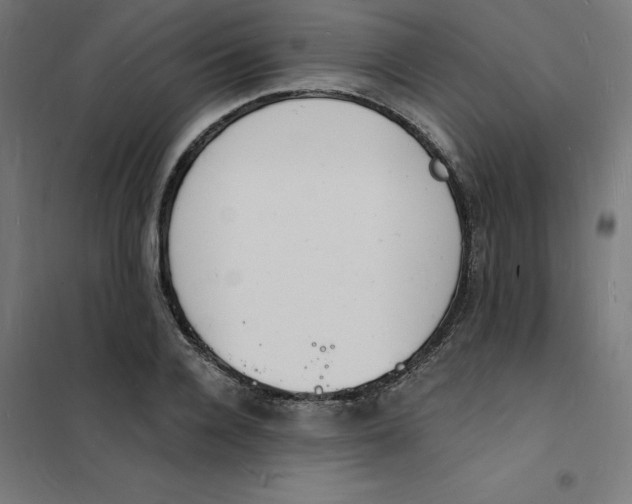 X0000101670936200808071041