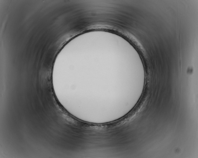 X0000101670937200808071041