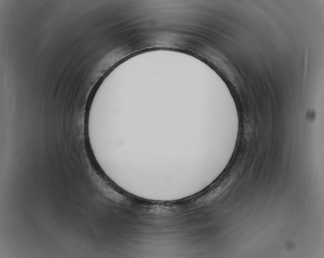 X0000101670938200808071041