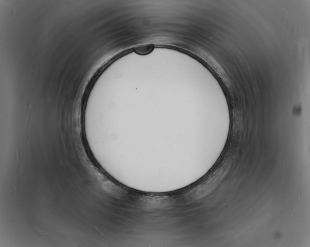 X0000101670939200808071041