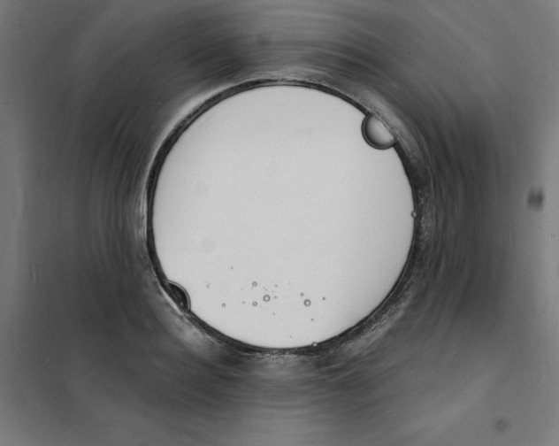 X0000101670940200808071041