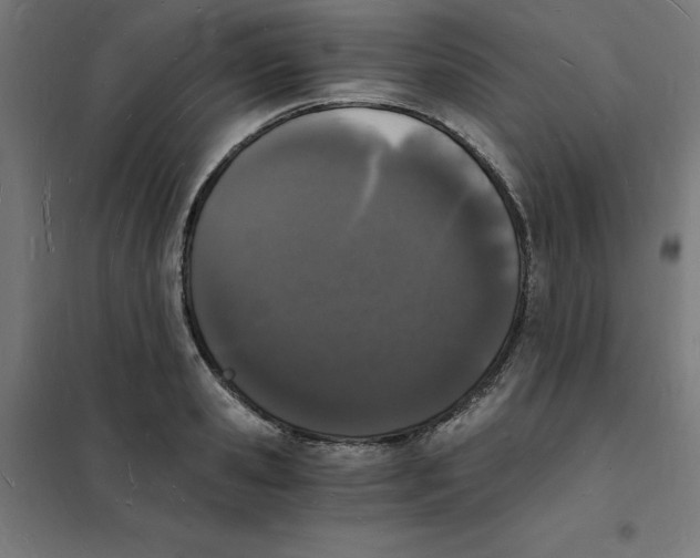 X0000101670941200808071041