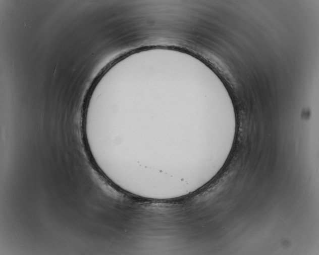 X0000101670942200808071041