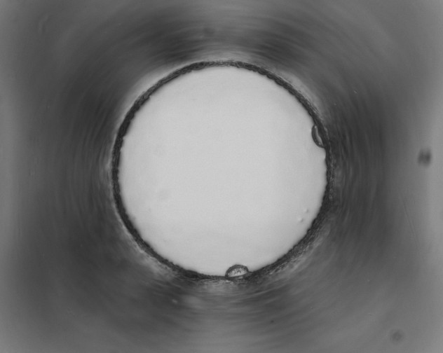 X0000101670943200808071041