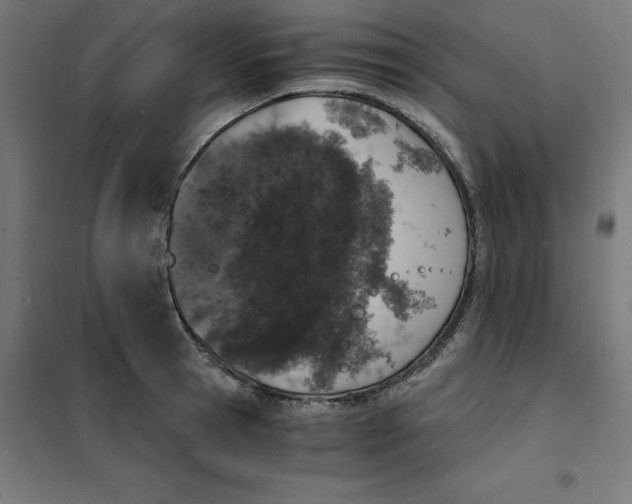 X0000101670945200808071041
