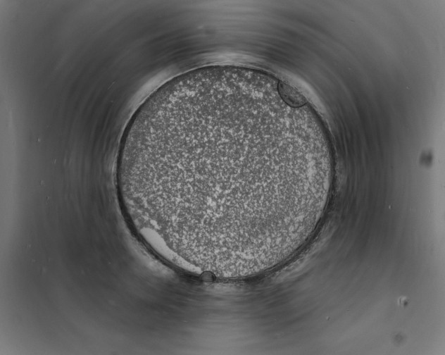 X0000101670946200808071041