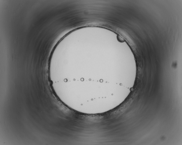 X0000101670948200808071041