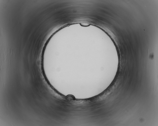 X0000101670949200808071041