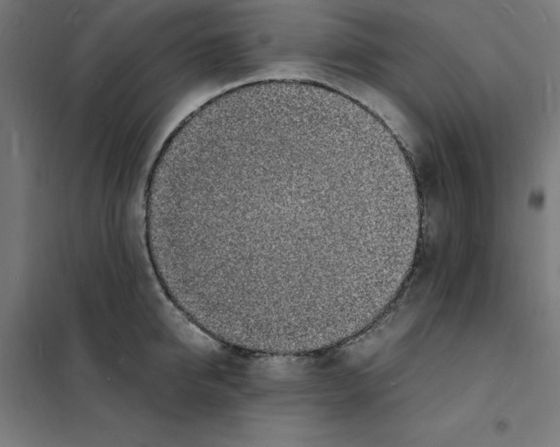 X0000101670950200808071041