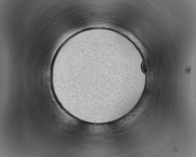 X0000101670951200808071041