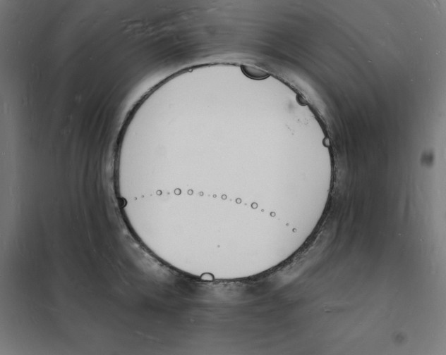 X0000101670952200808071041