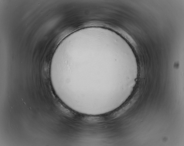 X0000101670953200808071041