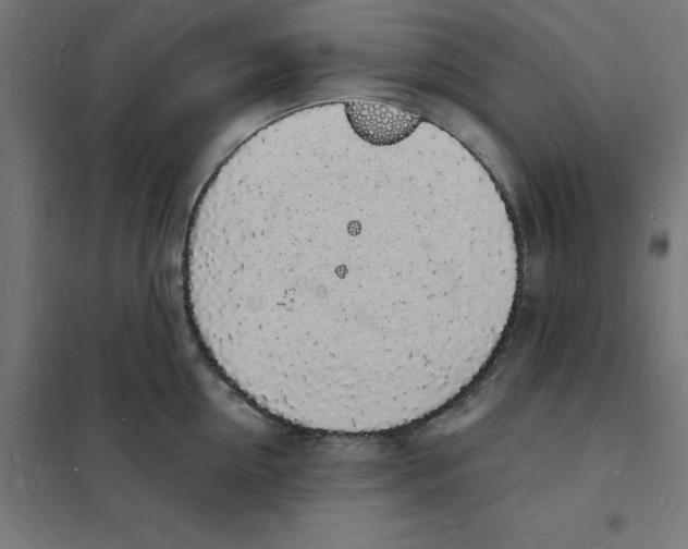 X0000101670954200808071041
