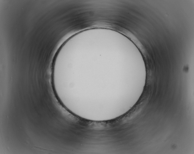 X0000101670955200808071041
