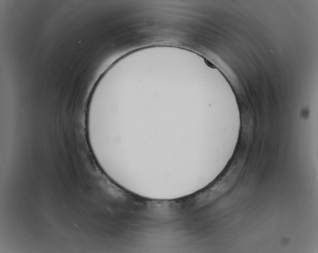 X0000101670956200808071041