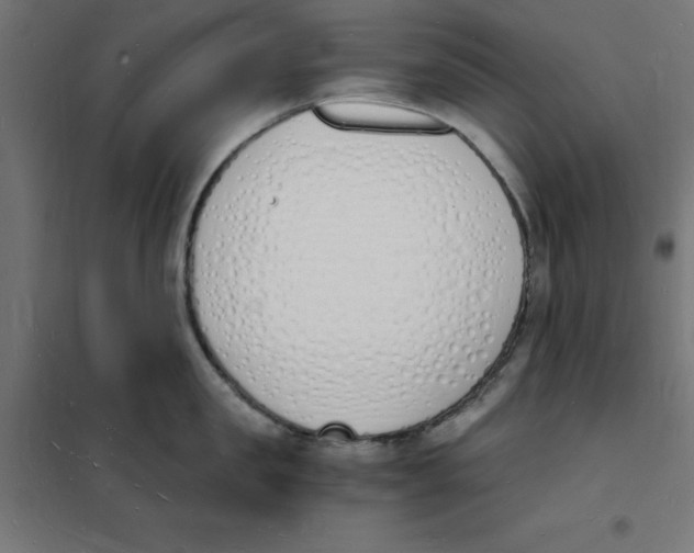 X0000101670957200808071041