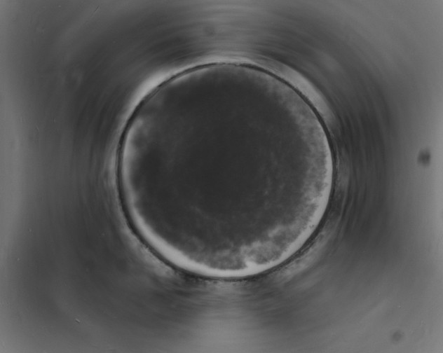 X0000101670958200808071041