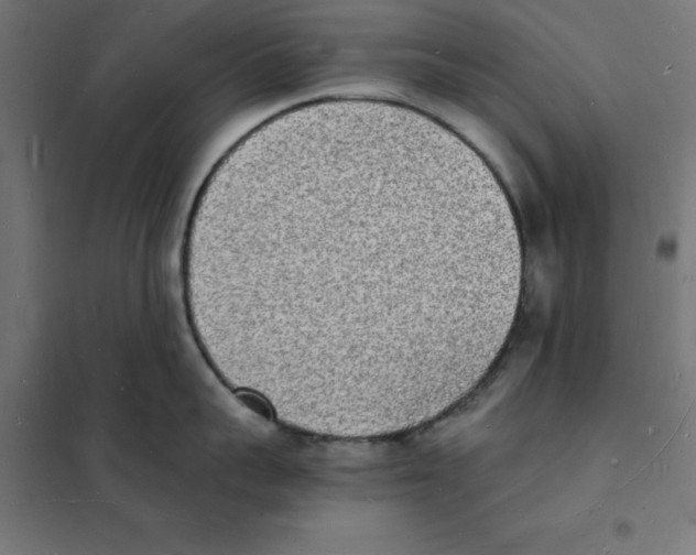 X0000101670959200808071041