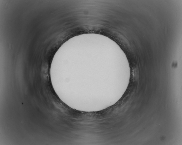 X0000101670963200808071041