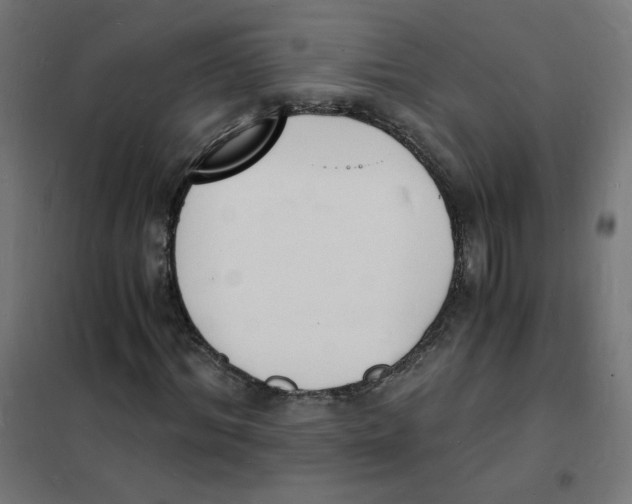 X0000101670964200808071041