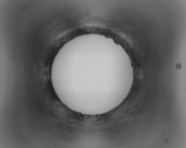 X0000101670965200808071041