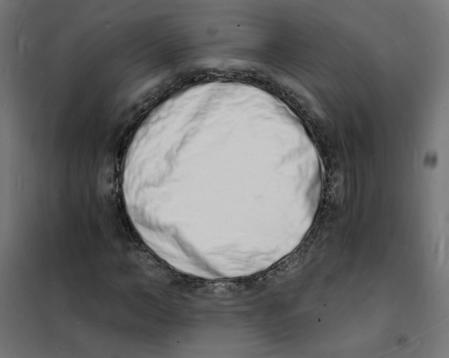 X0000101670966200808071041