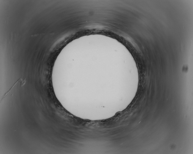 X0000101670967200808071041