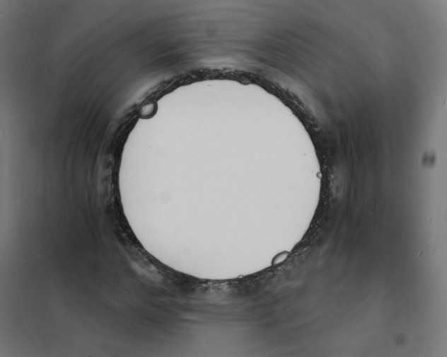 X0000101670968200808071041