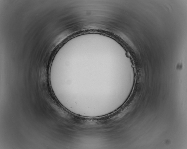 X0000101670969200808071041