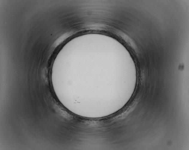 X0000101670970200808071041