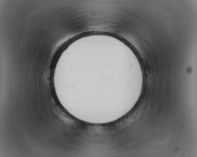 X0000101670971200808071041