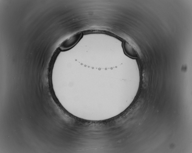 X0000101670972200808071041