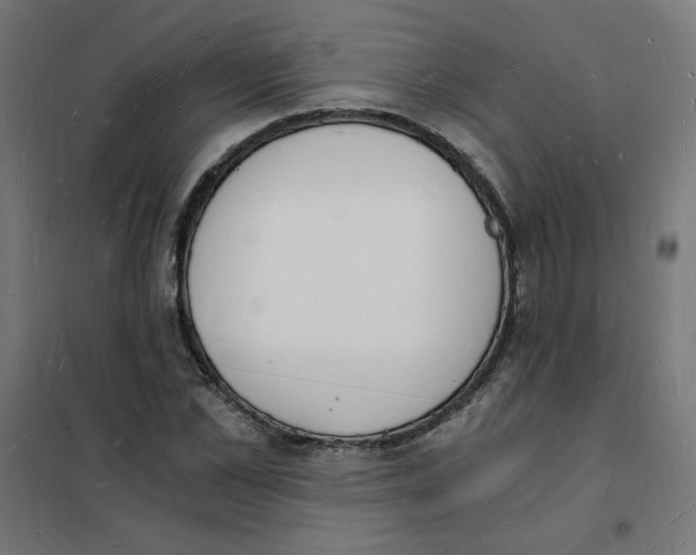 X0000101670973200808071041