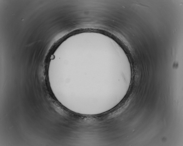 X0000101670974200808071041
