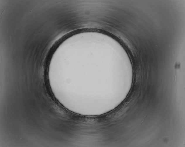 X0000101670975200808071041