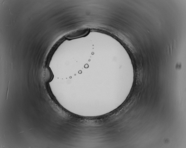 X0000101670976200808071041