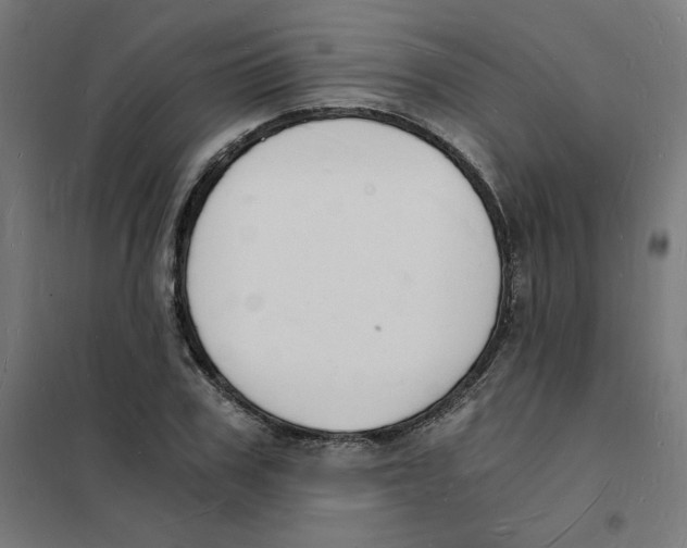 X0000101670979200808071041